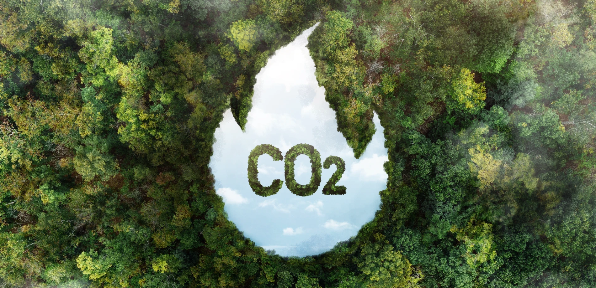 Karbon Ayak İzi Nedir? Nasıl Hesaplanır, Neden Önemlidir ve Nasıl Azaltılır? (CBAM ve Sektörel Yükümlülükler)